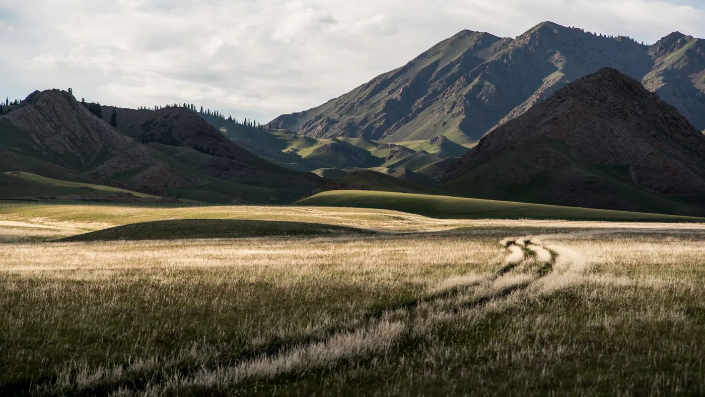 Yuki Tanaka's Hybrid Landscapes installation