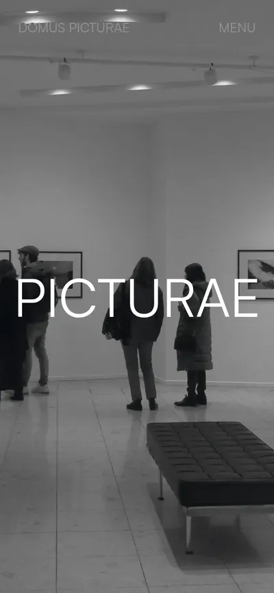 Home page of the Domus Picturae demo on a phone