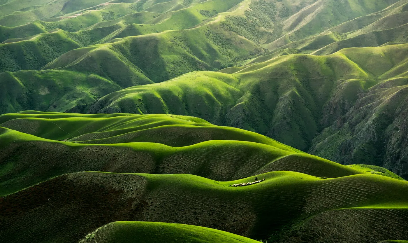 Bird's-eye view of green mountains